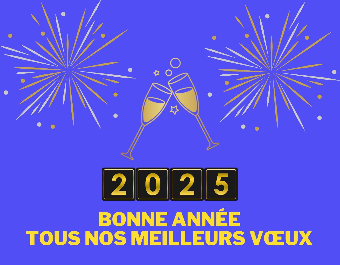 Bonne année , tous nos meilleurs vœux pour 2025